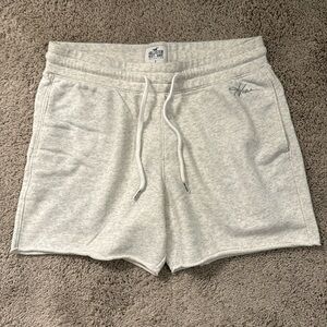 Men’s Hollister Shorts, Size Small, Heather Grey